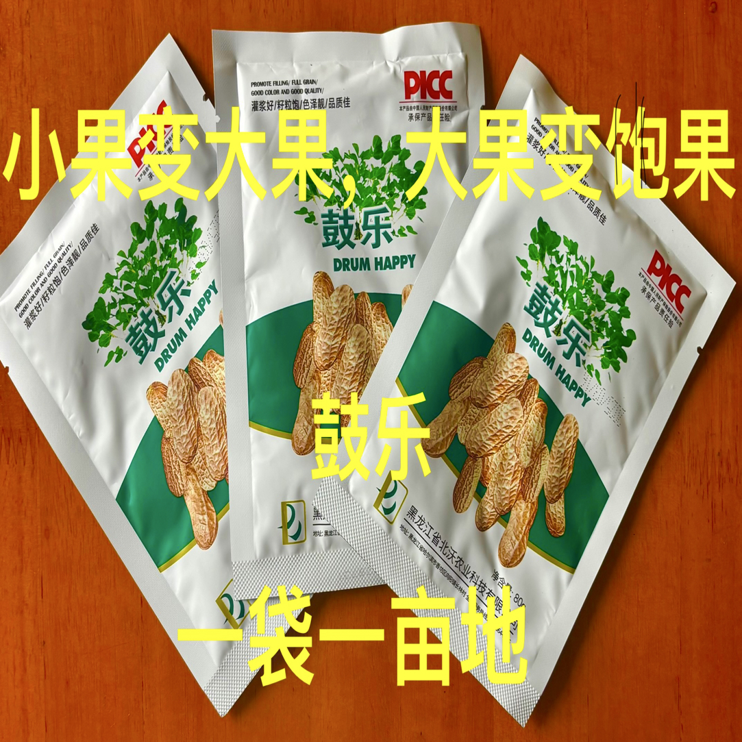 鼓乐促进花生、大豆等油科作物籽粒快速灌浆饱浆