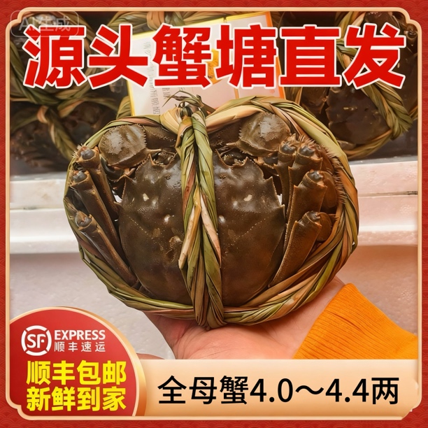 【活蟹】8只10只礼盒全母大闸蟹江苏螃蟹4.1~4.4两去绳净重顺丰鲜活