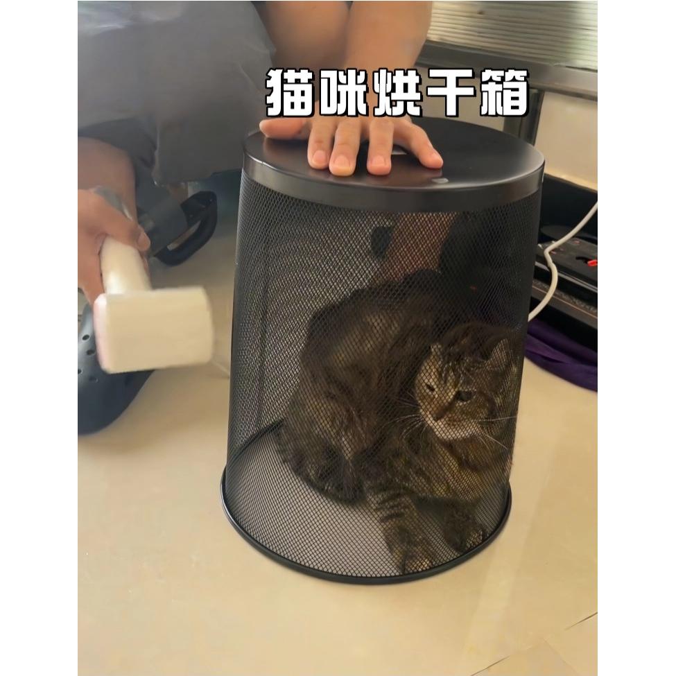 猫咪烘干箱宠物狗狗洗澡专用吹干神器小型犬吹风机吹水烘干垃圾桶
