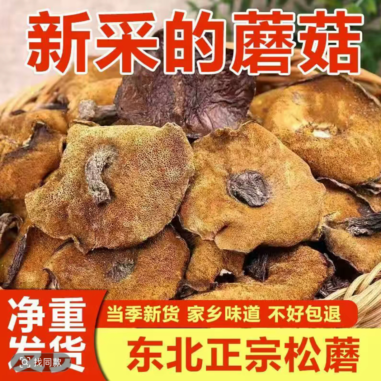 精选东北野生松蘑（黏团子）干货