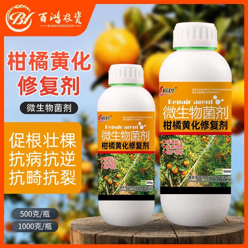 柑橘黄化修复剂调理黄化预防黄龙柑橘黄化专用微生物菌剂
