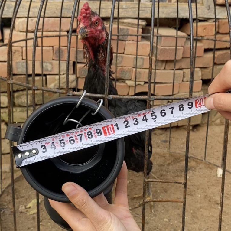 斗鸡专用食碗水碗