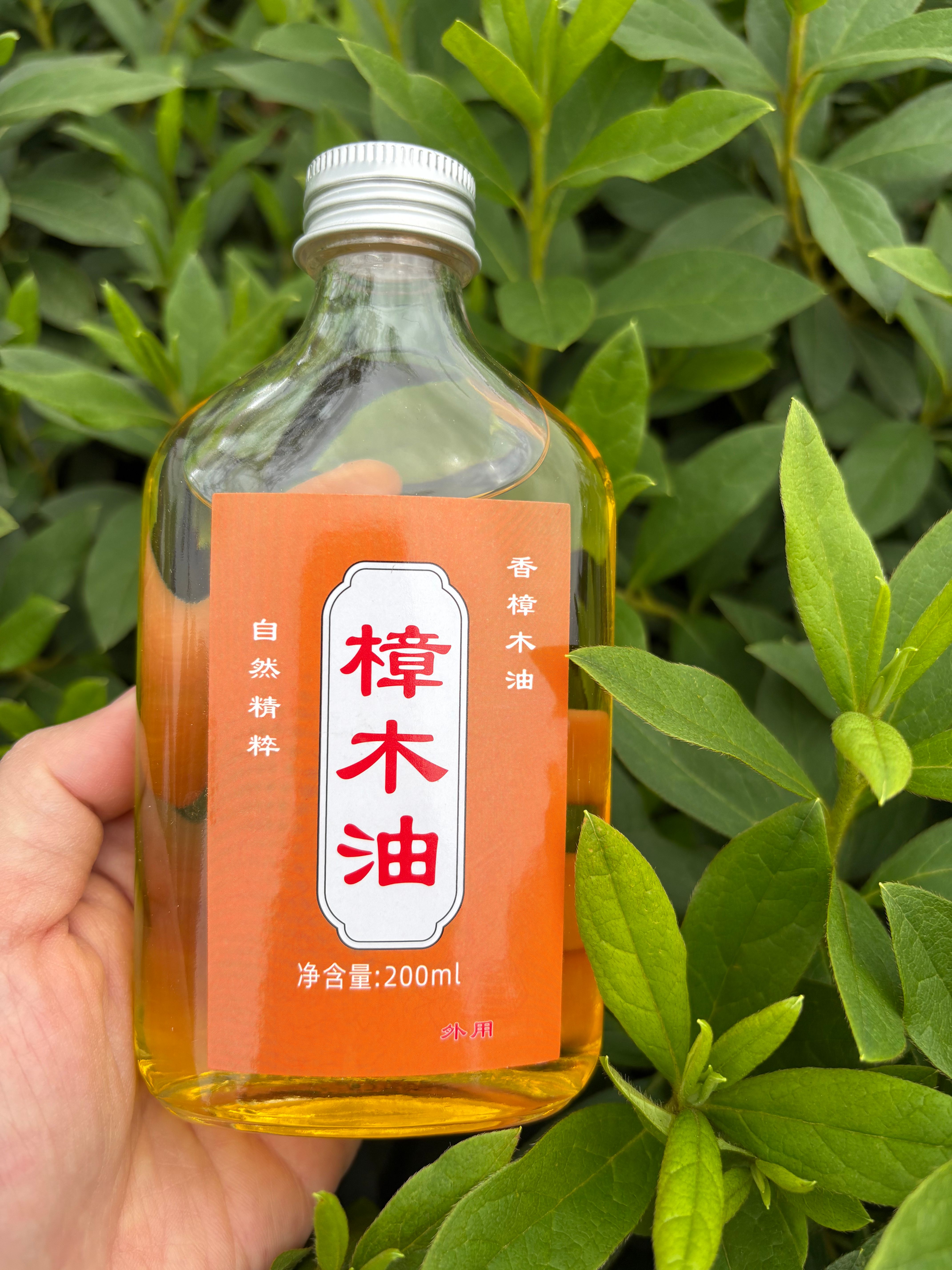 老牌广东高州正宗樟木油岭南古法蒸馏家庭