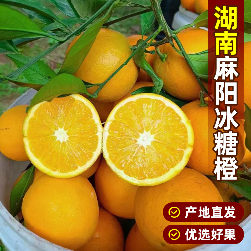 【新品】湖南麻阳冰糖橙当季热卖水果产地直发甜橙酸甜多汁新鲜橙子