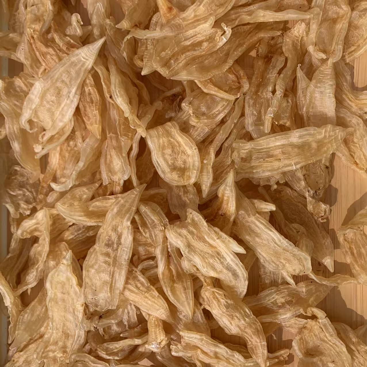 250头双背花胶深海滋补佳品鱼胶干花胶