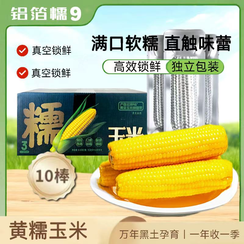 【试吃2根】25年新鲜黄金糯9东北甜香糯玉米低脂粗粮玉米代餐糯玉米