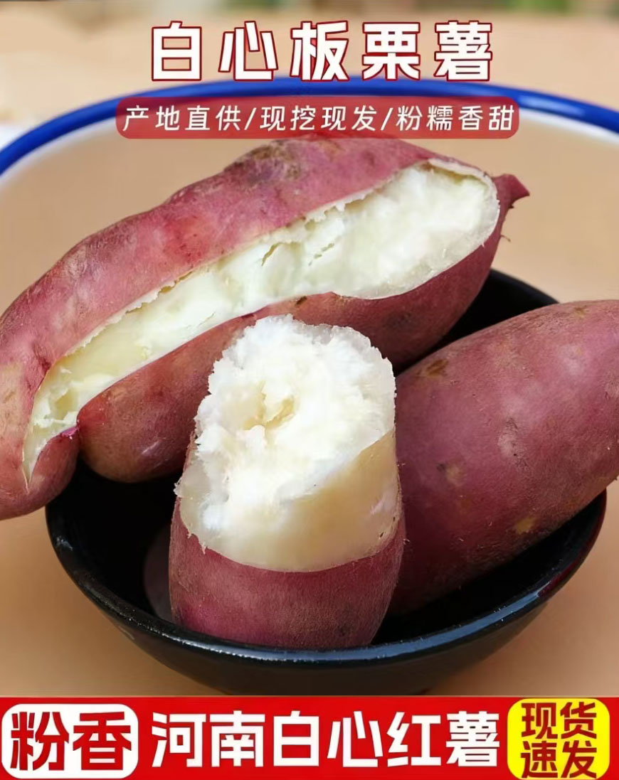 河南正宗粉面白红薯现挖现发商薯19粉糯香甜新鲜干面瓤番薯小香薯