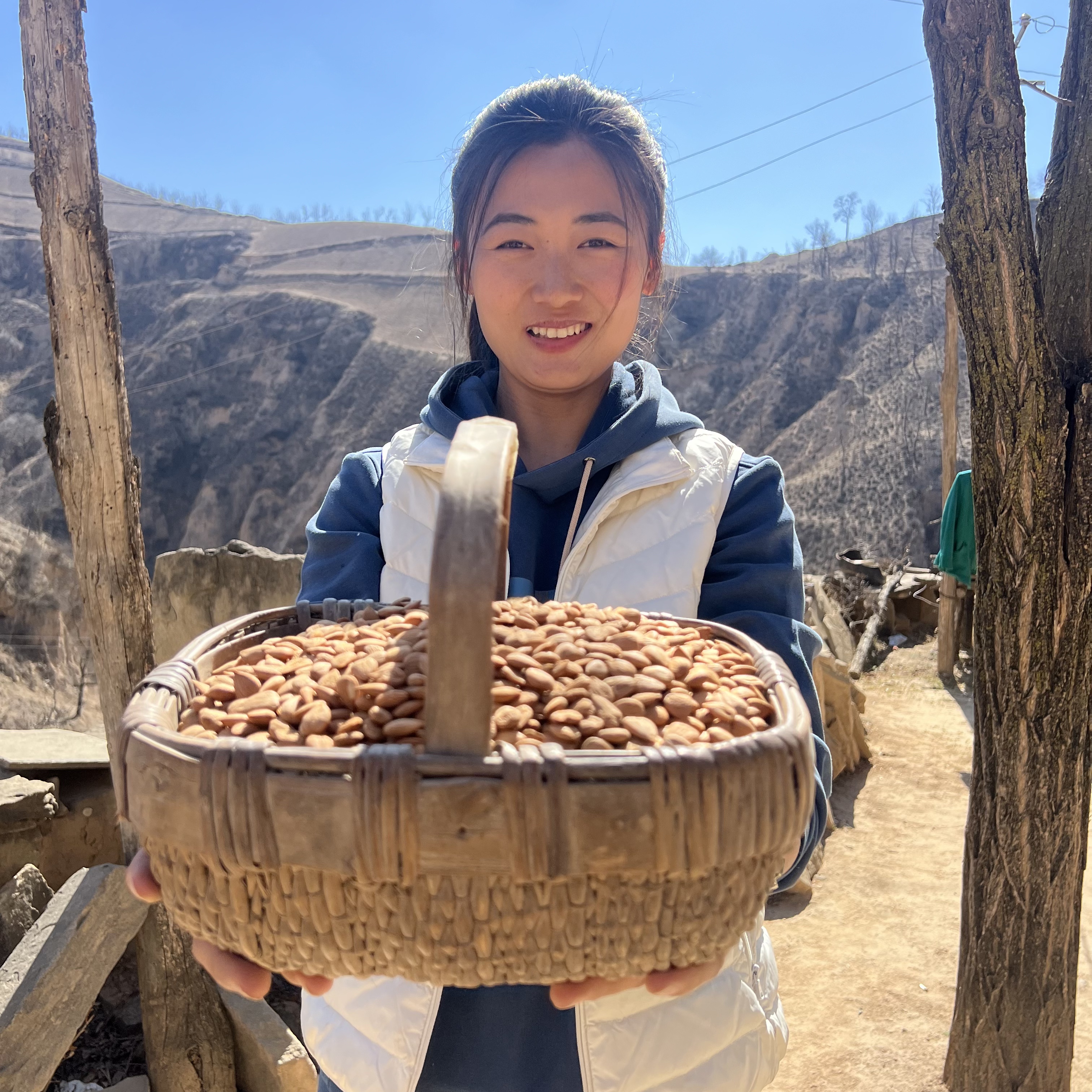 （林林）陕北农户种植【生杏仁】  颗粒饱满香 打豆浆香 包邮