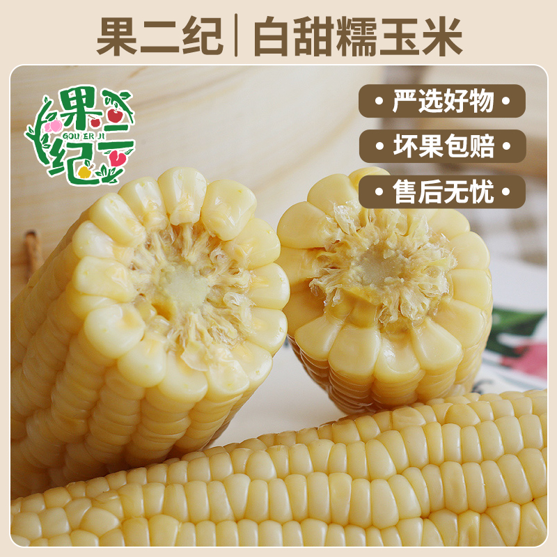 【试吃两根】2025年东北头茬白甜糯玉米240g*8甜糯玉米336营养代餐