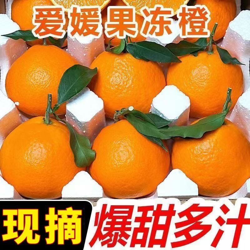 【2025头茬鲜果】四川眉山爱媛38号果冻橙新鲜应季水果皮薄多汁