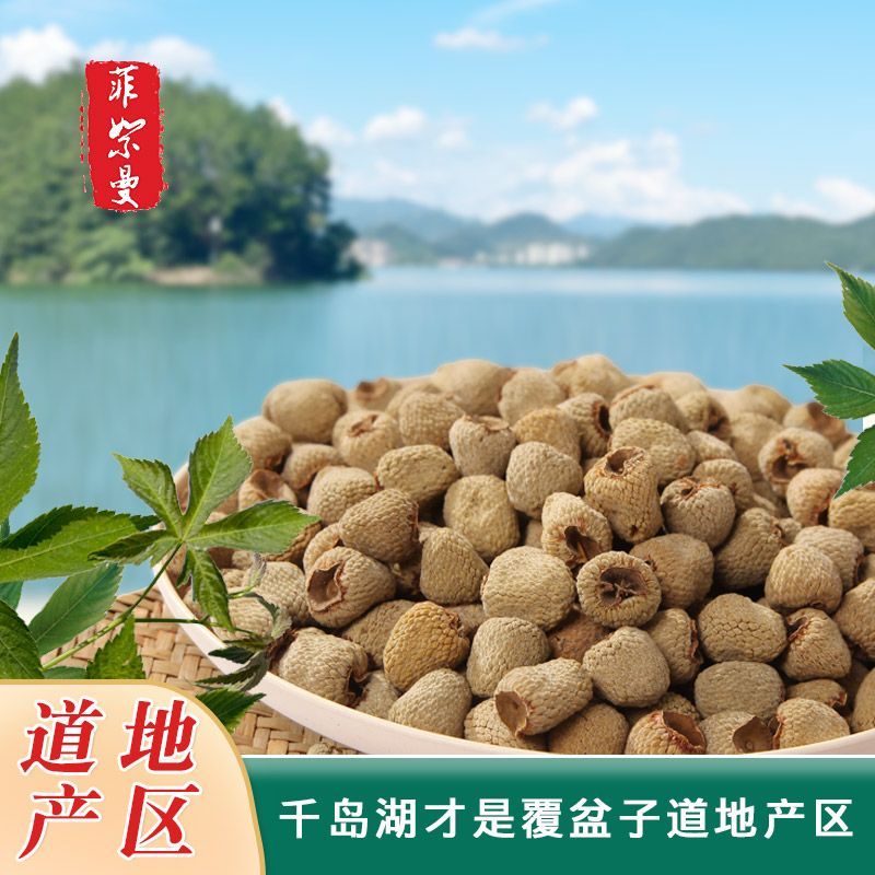 浙江千岛湖野生大颗粒覆盆子桑葚茶枸杞药材干鲜果泡水新生茶