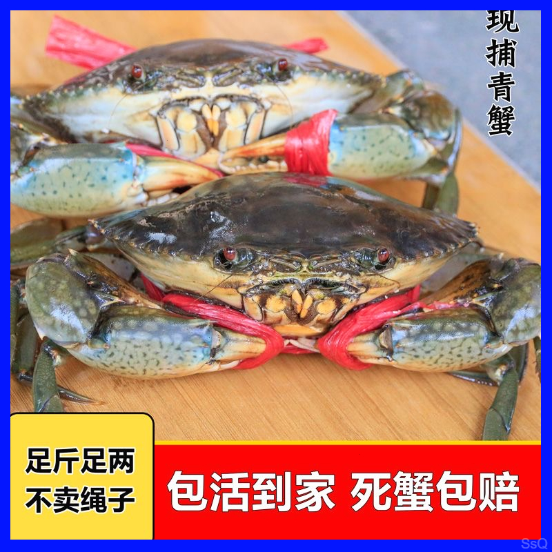 【5只装】3-4两红膏蟹母蟹小青蟹鲜活红鲟特大红膏蟹螃蟹顺丰包邮