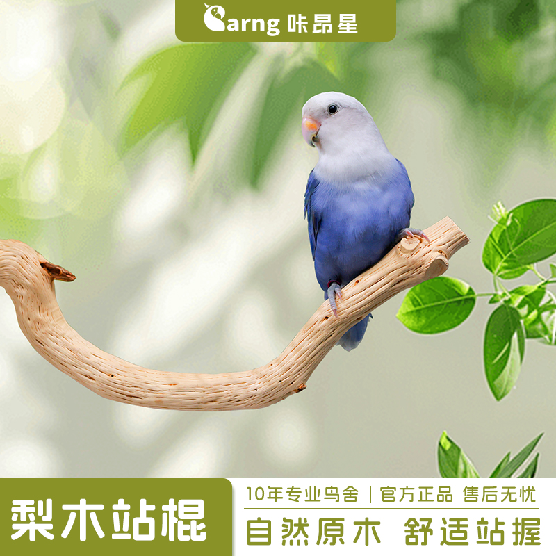咔昂星鹦鹉站杆站架树枝和尚虎皮牡丹玄风鹦鹉梨木站棍鸟笼内装饰