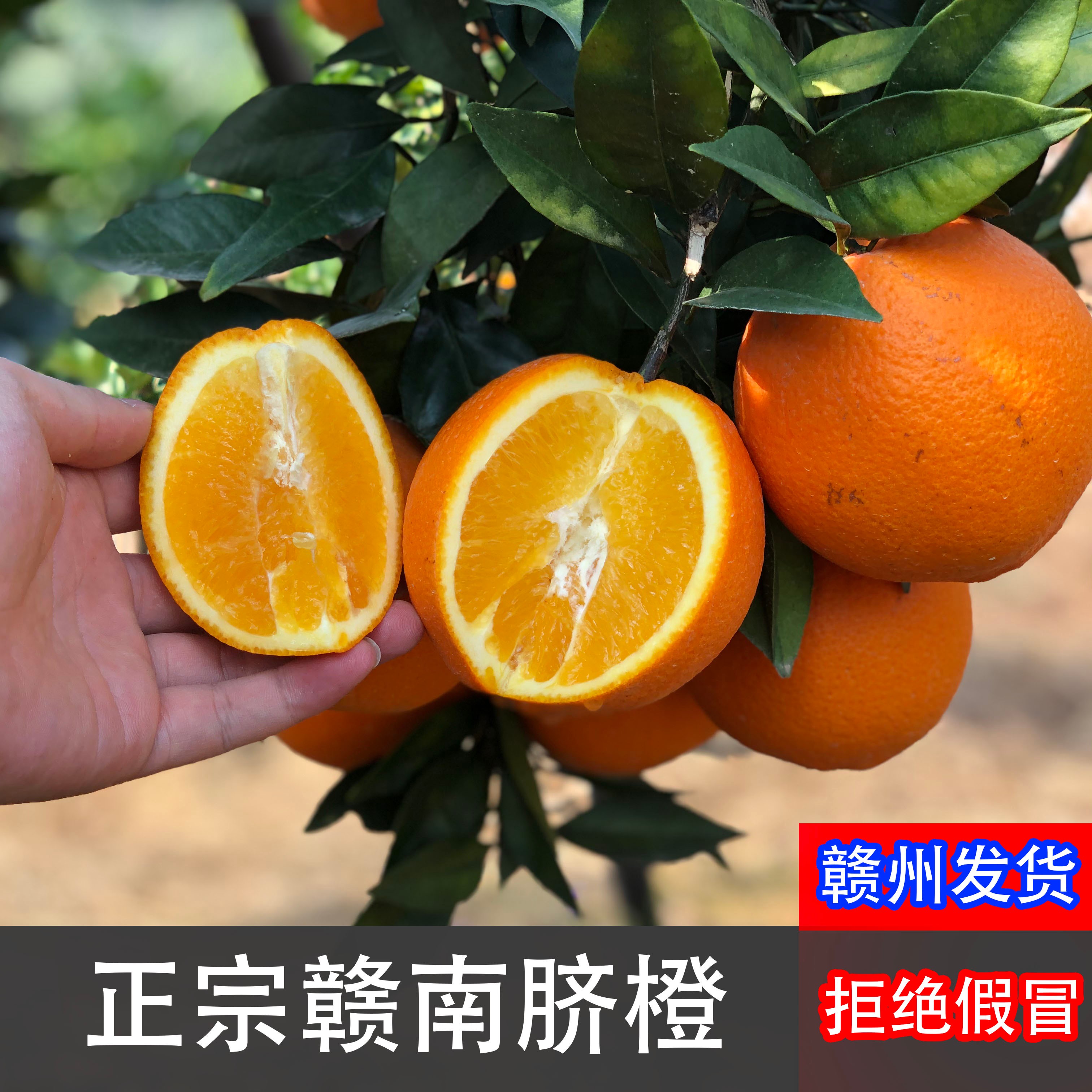 【京东/顺丰】正宗赣南脐橙新鲜采摘5-10斤装果园直发整箱孕妇果