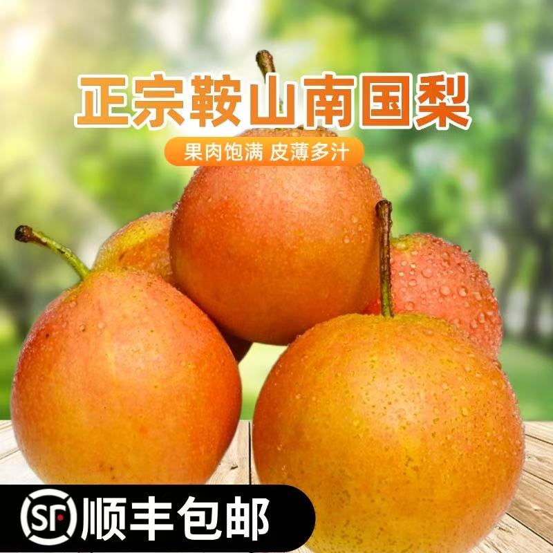 辽宁特产新鲜鞍山南果梨鞍山南国梨5斤包邮顺丰细腻多汁爽口