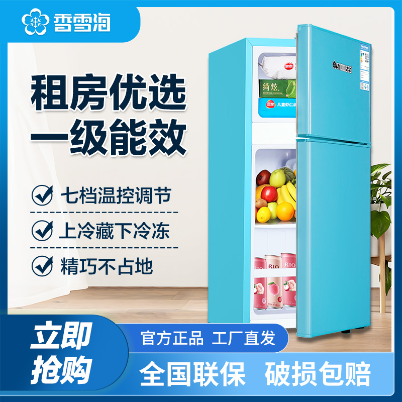 42-216L双开门冰箱家用小型电冰箱冷藏双温小冰箱出租房节能冰箱