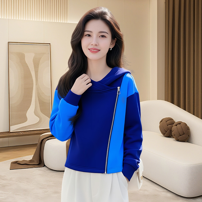 2025欧货爆款宽松加厚连帽卫衣大码女装胖mm显瘦遮肉舒适显瘦上衣