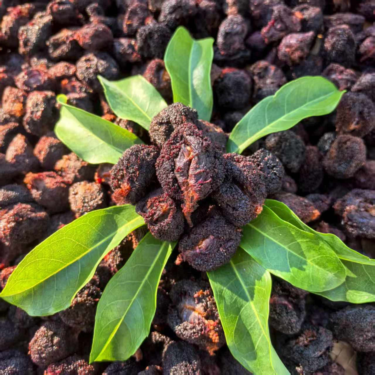 伯温故里特产大个肉多鲜杨梅制成酸甜无添加原味杨梅干美味果