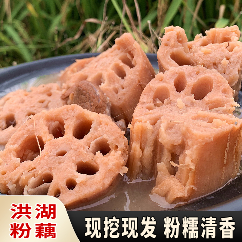 洪湖粉藕莲藕新鲜现挖湖北农家特产煲汤粉藕糯米炖汤藕