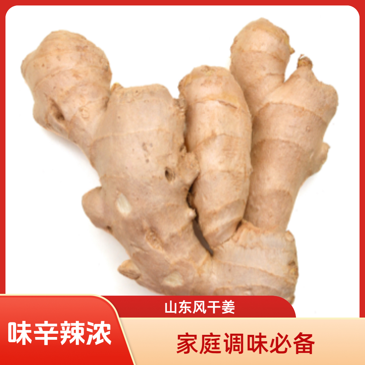 山东特产风干大黄姜新鲜现挖老姜大块姜辛辣味浓