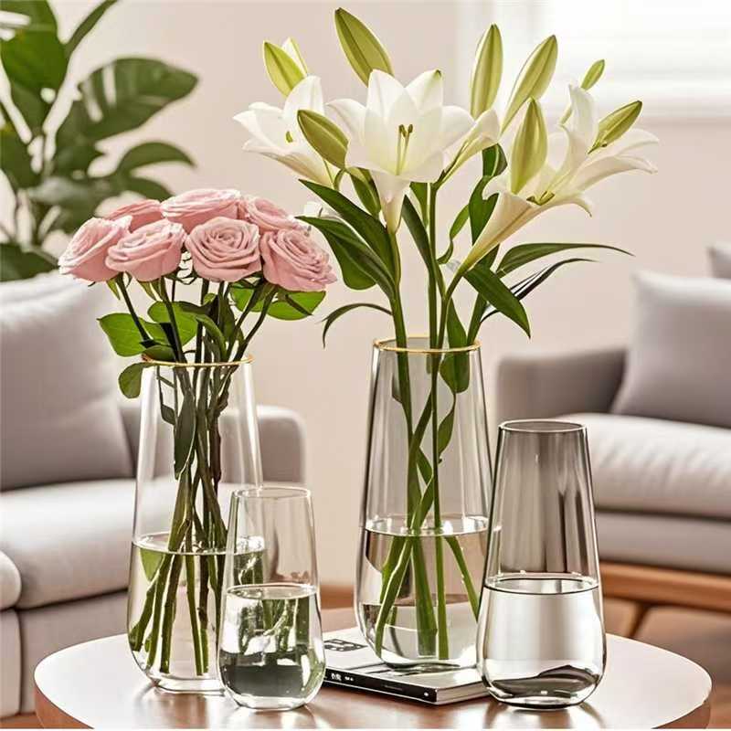 轻奢玻璃花瓶大号透明水养富贵竹鲜花ins风高级客厅插花装饰JY