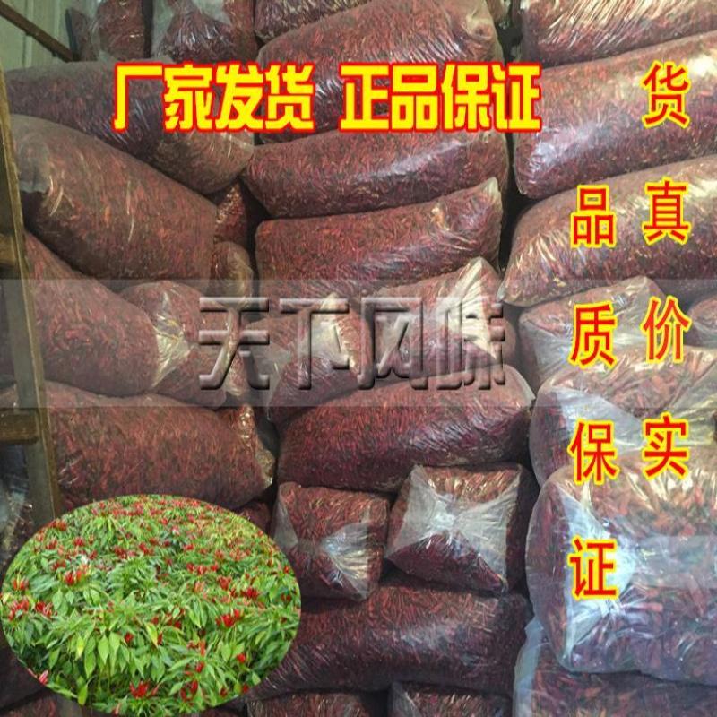特辣福建辣椒王卤菜卤制品麻辣卤味食品厂专用福建古田辣椒王特产
