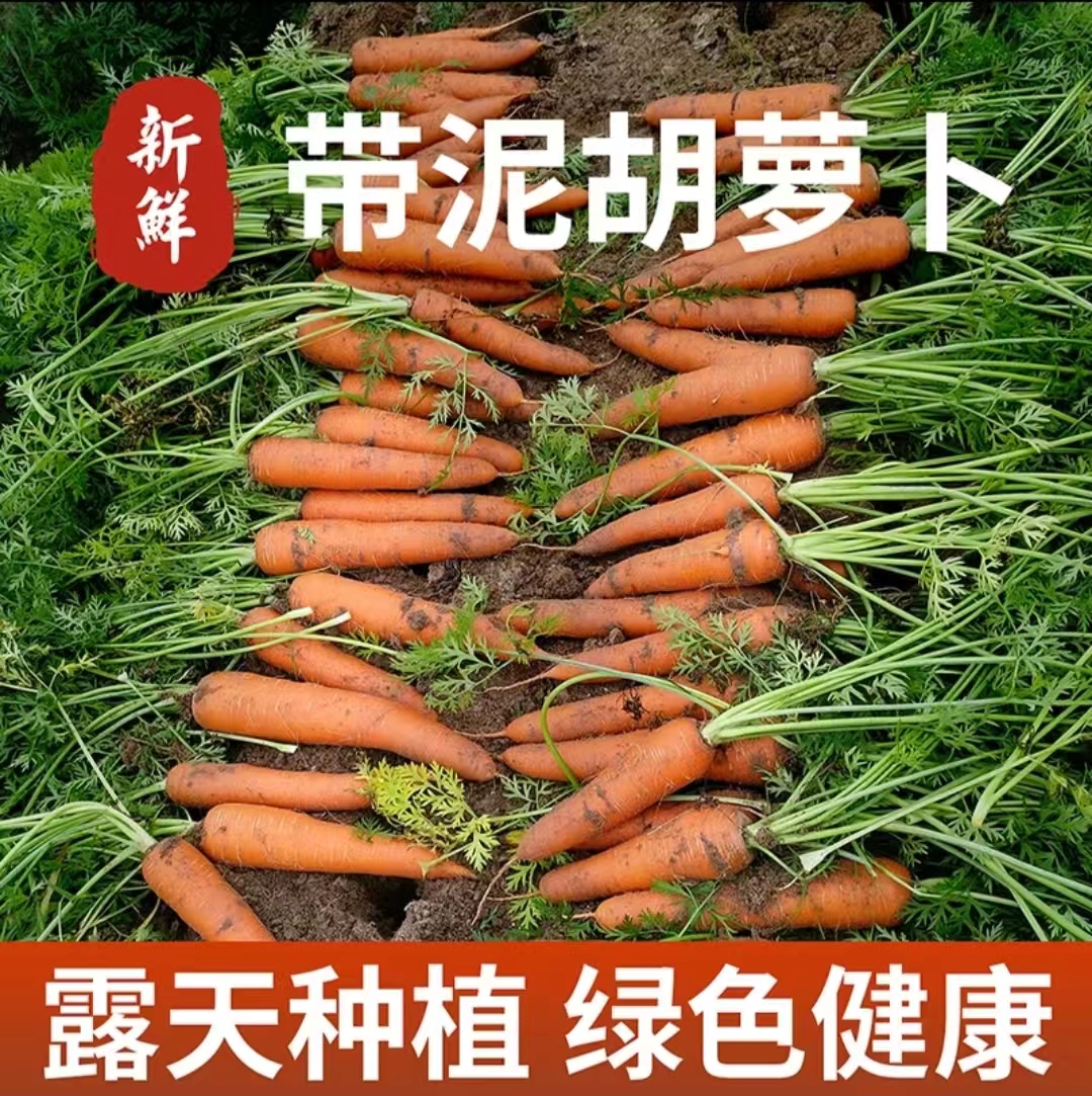 2025当季香脆可口新鲜胡萝卜可生吃热炒农家自种现挖现发