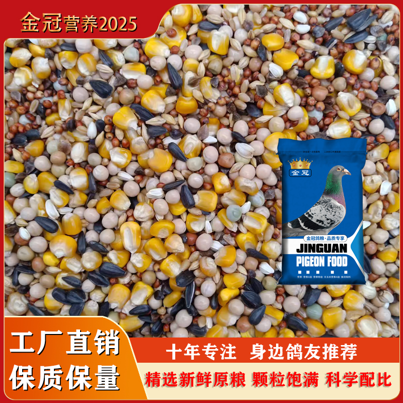 山东金冠新品营养2025款大包装48斤种鸽肉鸽观赏鸽子饲料