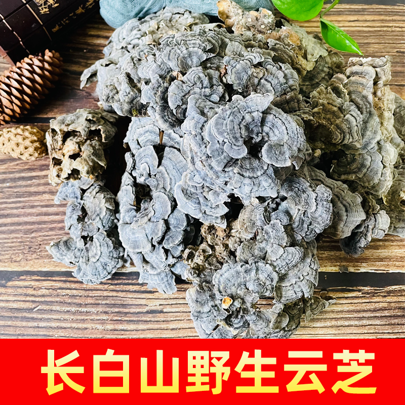 云芝长白山野生灵芝精选云芝整枝灵芝250g-500g干货包邮煲汤