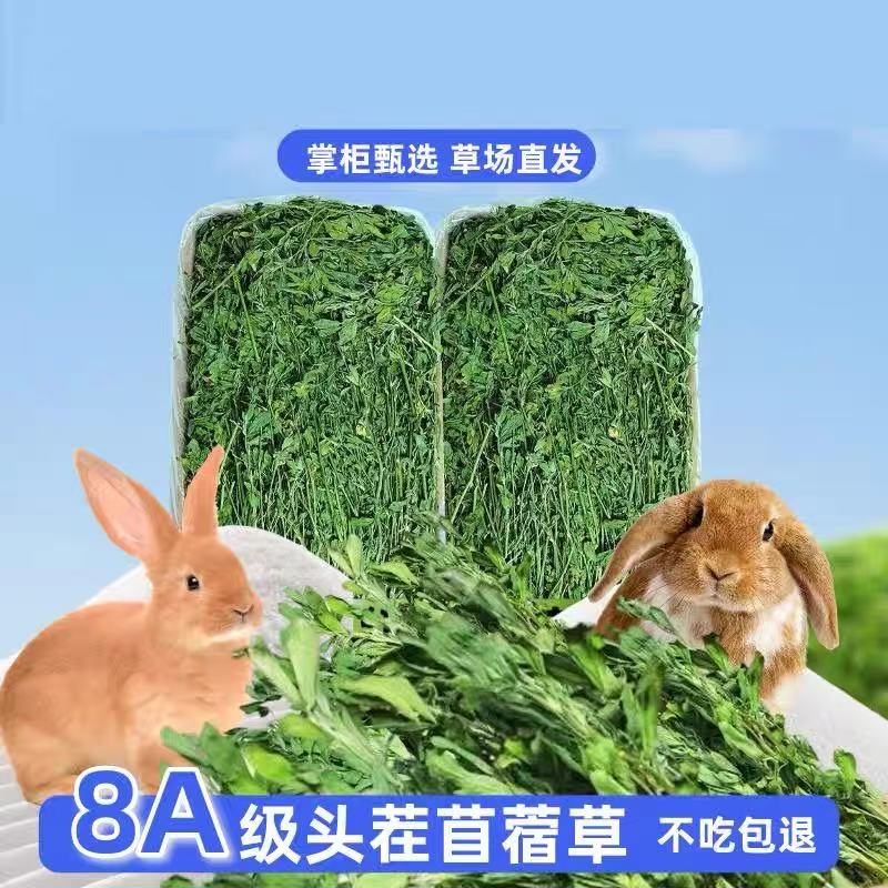 25年最新烘干紫花苜蓿草幼兔专用草猪龙猫牧草兔子饲料叶大干草