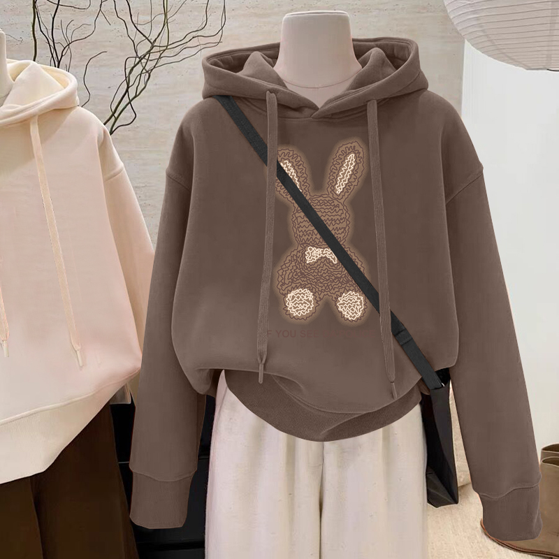 设计感小众秋冬新款2025加绒加厚套头连帽卫衣女短款宽松韩版外套