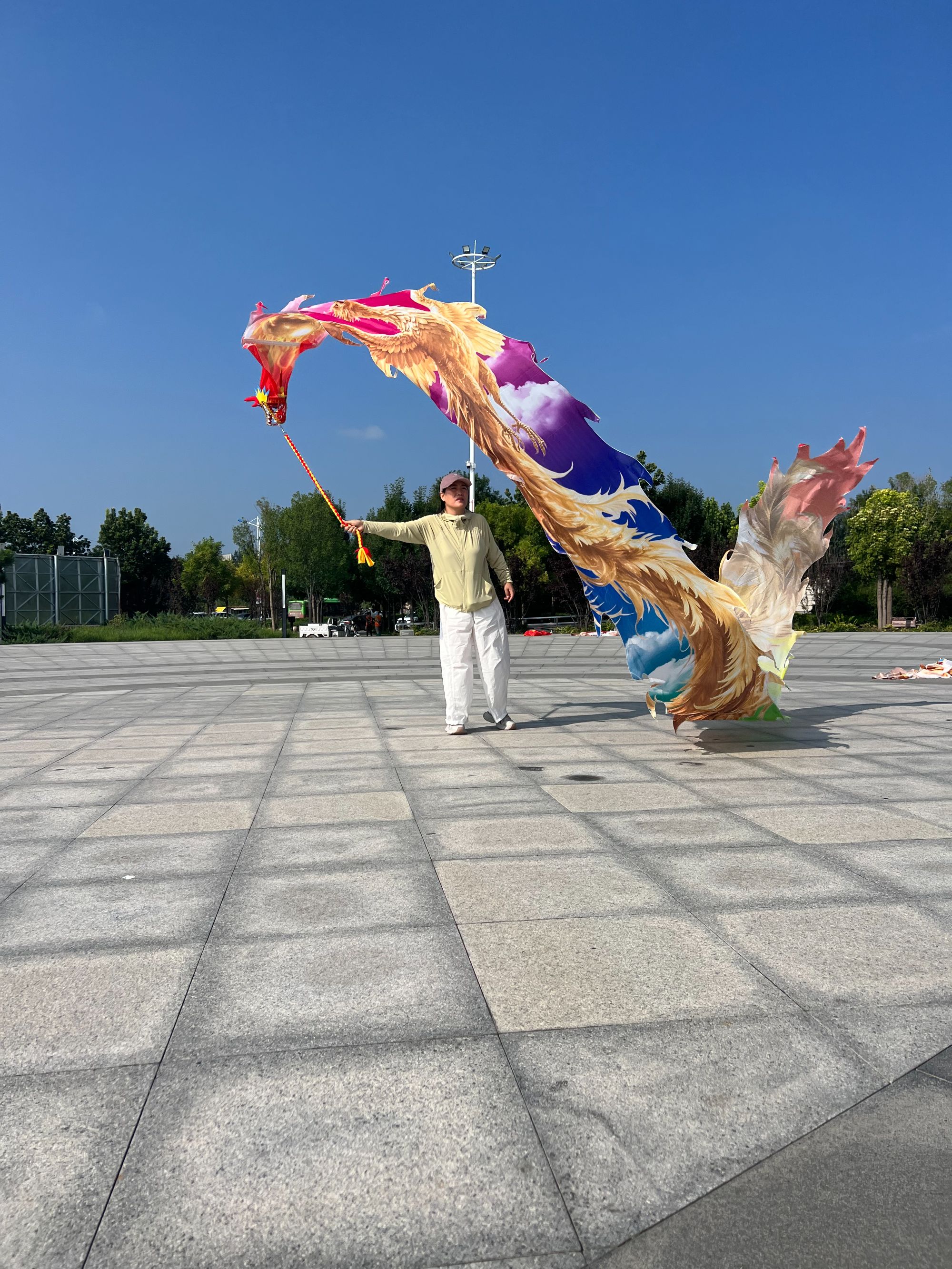 新款健身龙舞龙精美彩带彩绸可水洗镂空龙头套装