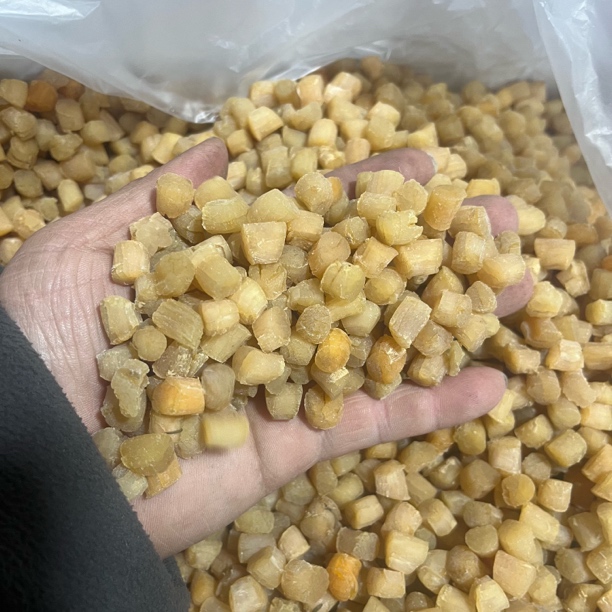 本人自拍，10号干贝，野生干贝瑶柱海鲜干货煲汤煲粥蒸水蛋美味佳品