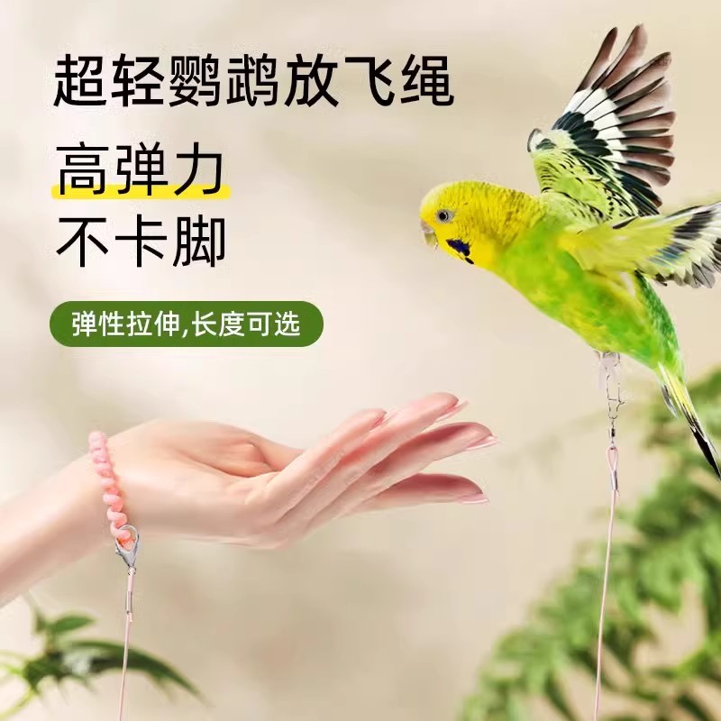 鹦鹉放飞绳不伤脚超轻训练绳虎皮玄凤牡丹脚环脚链脖套遛鸟飞行绳