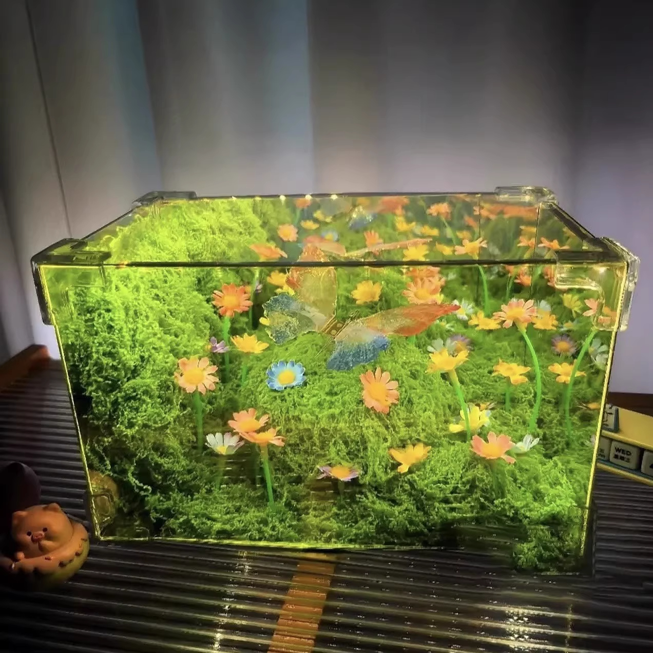 绿野仙踪春日蝴蝶小夜灯diy材料包魔方送女友闺蜜生日礼物情人节