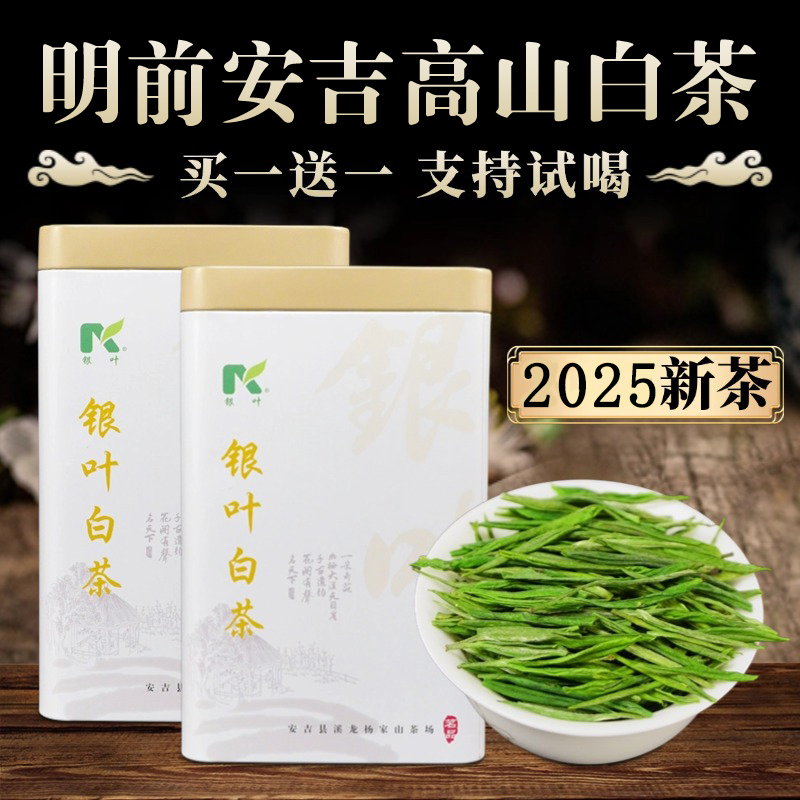 安吉原产地白茶浓香型正宗口粮珍稀绿茶春茶礼盒2025新茶叶