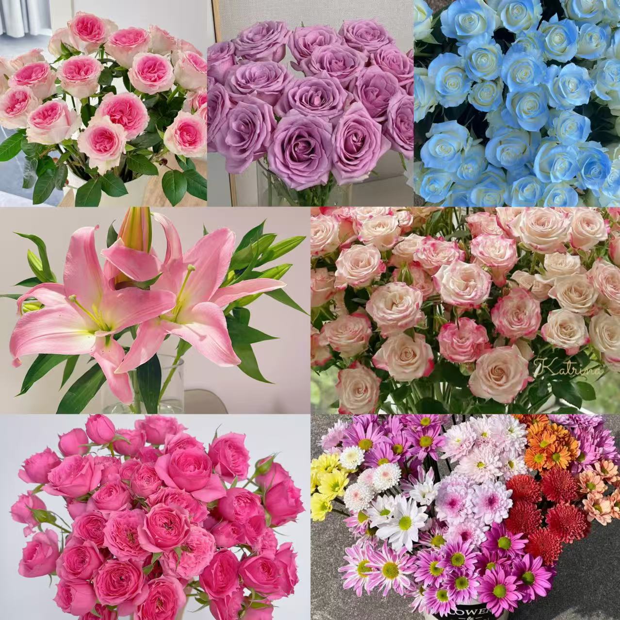 夏日多巴胺色系鲜花组合  云南基地直发家庭客插花水养鲜花