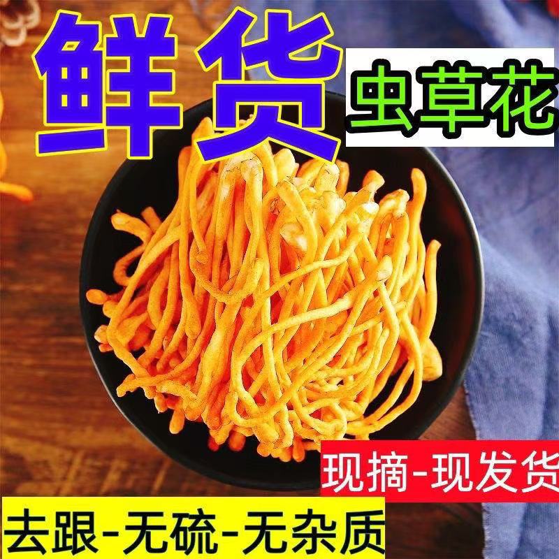 【一斤二斤】东北虫草花鲜货无添加剂原产地孢子新鲜菌菇煲汤食材 Z