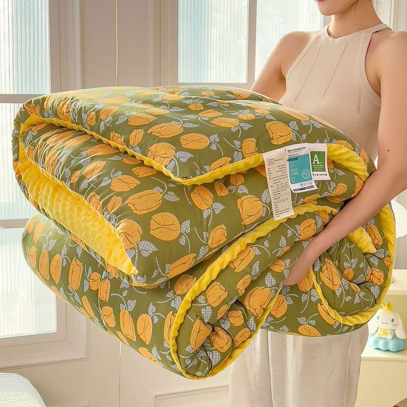 A类加厚豆豆绒被冬被加绒保暖卧室床上用品加厚春秋豆豆绒被