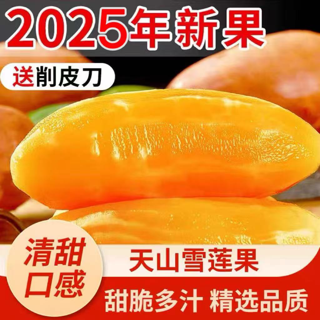 【半价抢10斤】云南正宗天山雪莲果新鲜现挖水果孕妇脆甜多汁1/5斤