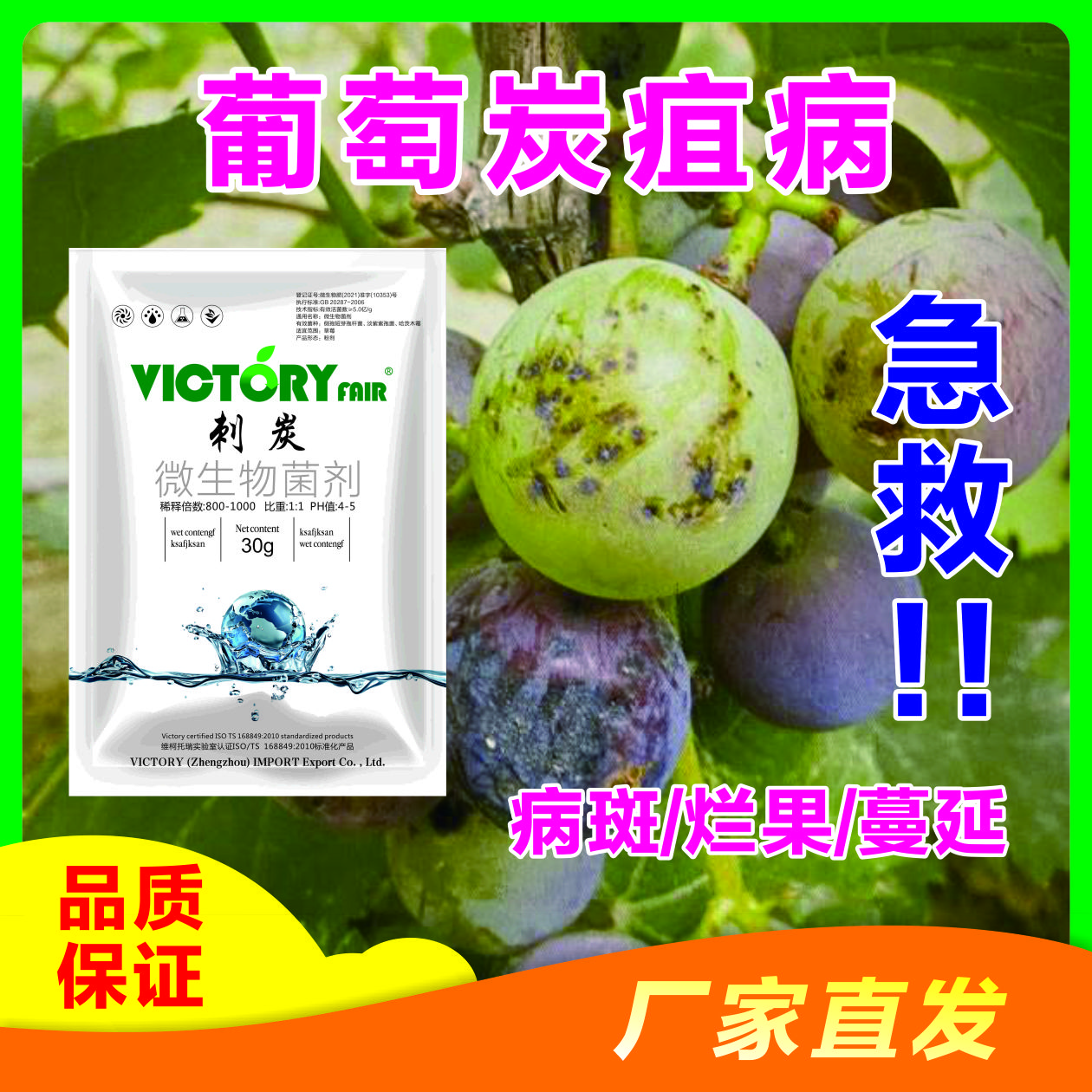 各种作物炭疽病疮痂白腐病专用安全高效升级以菌治菌微生物菌剂