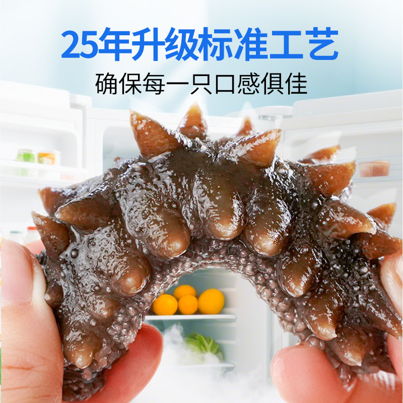 【冷冻辽参】棒棰岛冷冻海参500g*2袋  两斤装