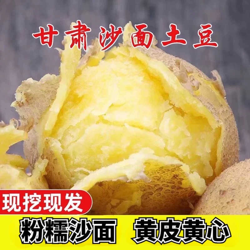 甘肃沙面土豆黄金薯农家土豆粉糯沙面淀粉高洋芋黄皮黄心马铃薯
