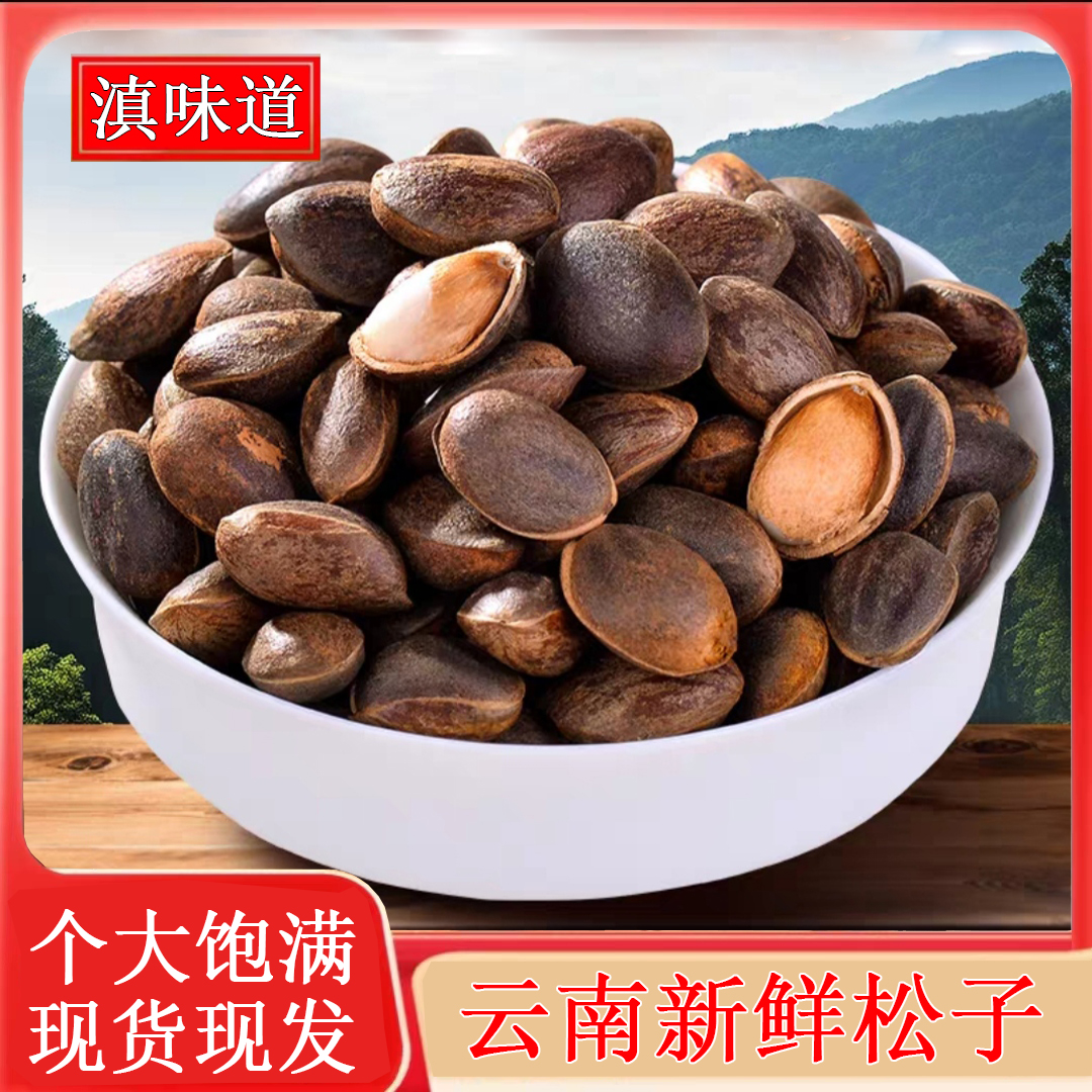 云南新鲜薄壳松子 原味颗粒大饱满生松子孕妇坚果2斤/4斤
