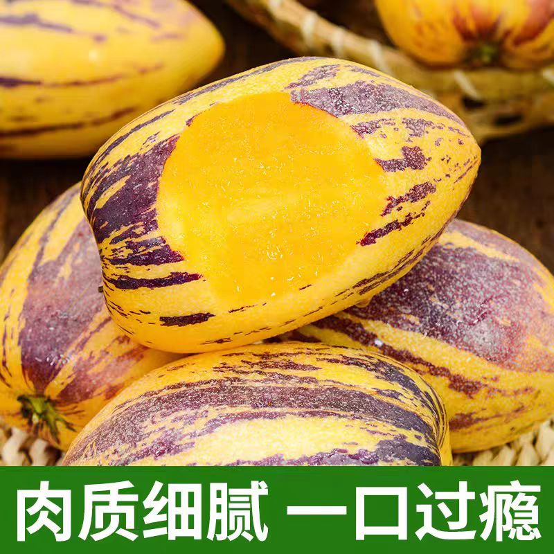 甘肃民勤头茬新鲜树上熟人参果