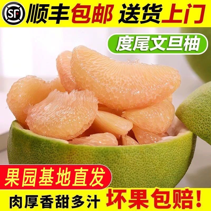 【顺丰包邮】30斤~50斤度尾文旦柚当季新鲜水果 果场直发三十年老树