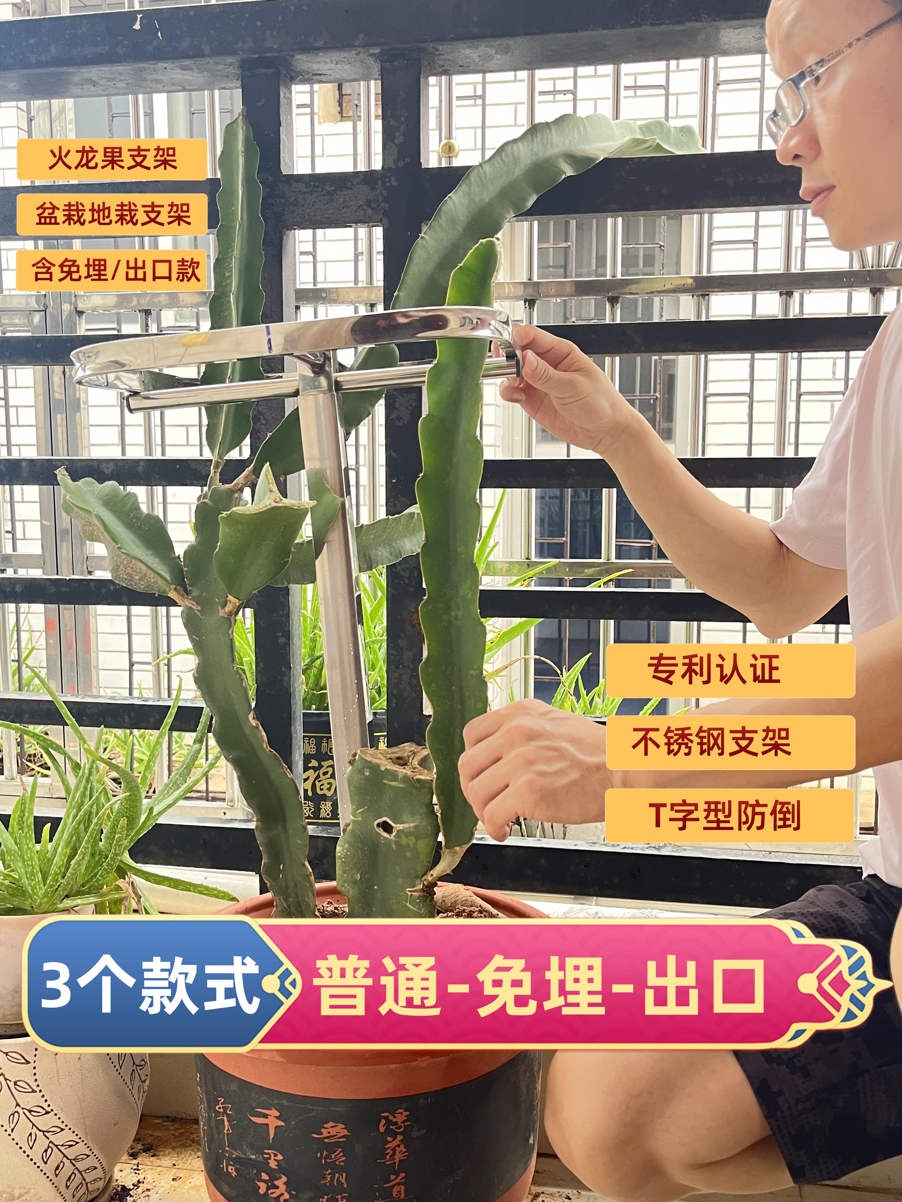 火龙果支架不锈钢辅助种植花卉支撑架子火龙果架盆栽地栽支架配件