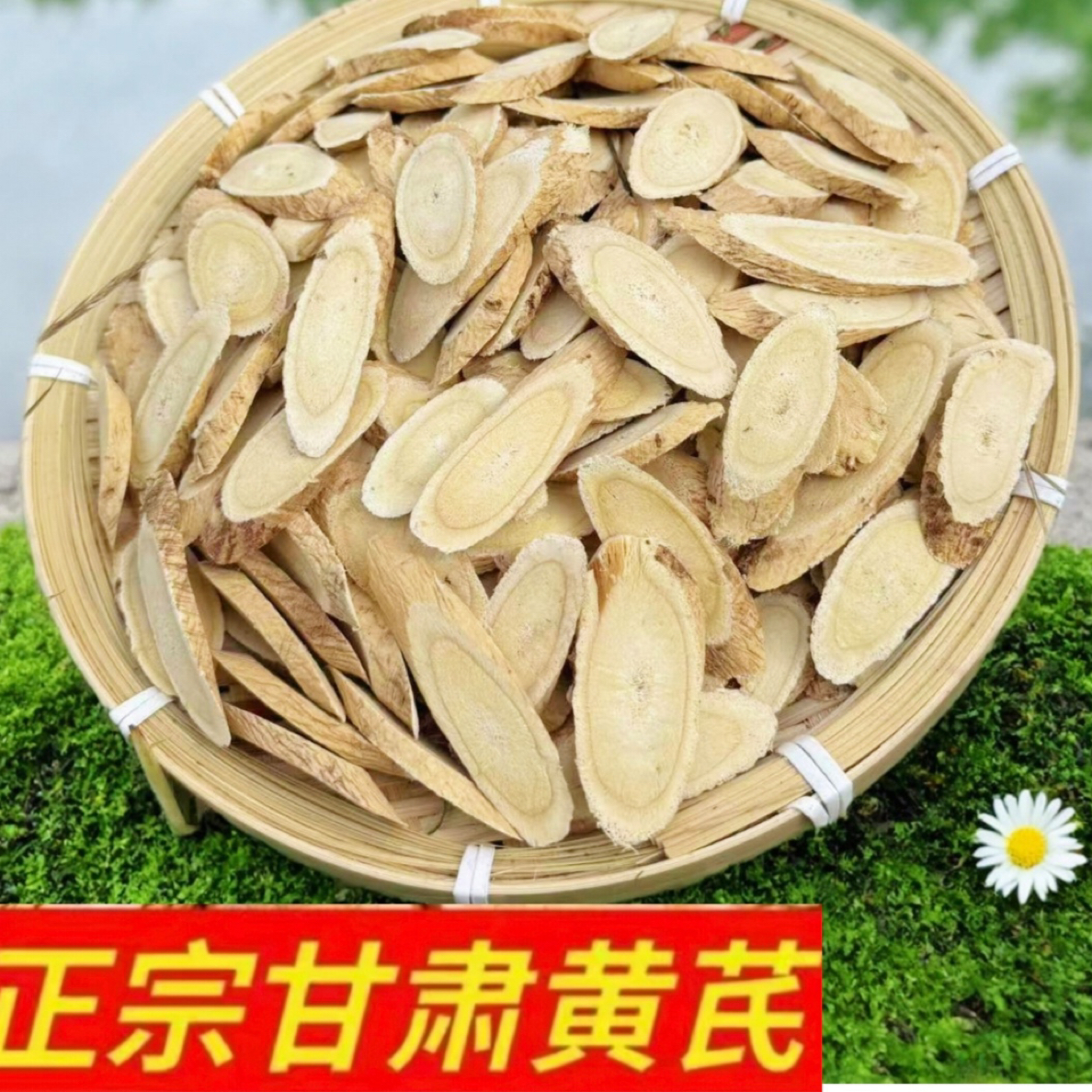 甘肃岷县精品黄芪大片原产地可泡水煲汤正宗特产甘肃岷县黄芪