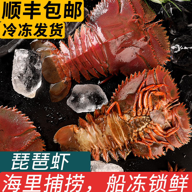 舟山大琵琶虾鲜活特大速冷冻九齿扇虾海鲜海虾枇杷虾海鲜水产商用