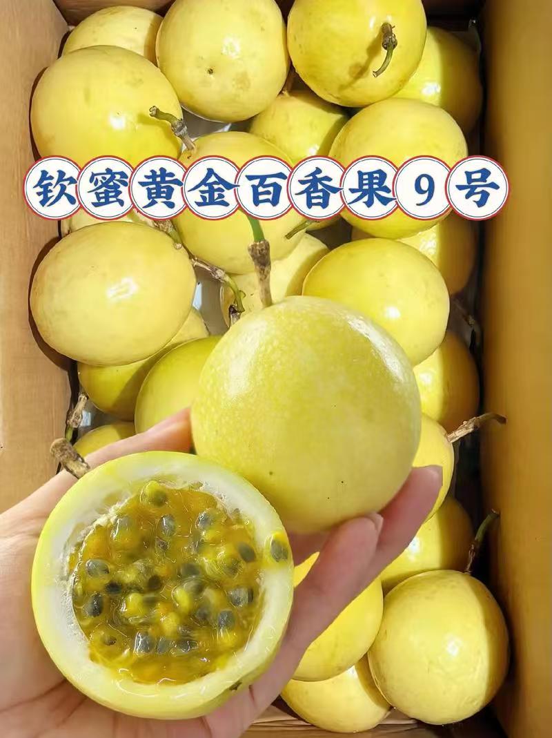 广西钦州新鲜当季钦蜜9号百香果香甜多汁果味浓郁